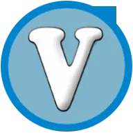 Vermosys Logo